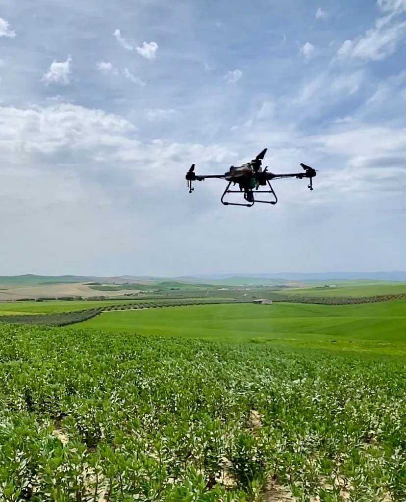 Imagen destacada para: Análisis multiespectral con drones: Revolución en la detección de problemas en cultivos